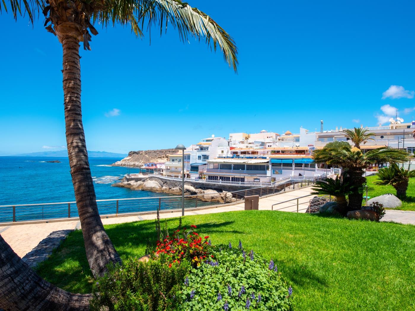 Amplio apartamento de 2 dormitorios en Playa de las Américas