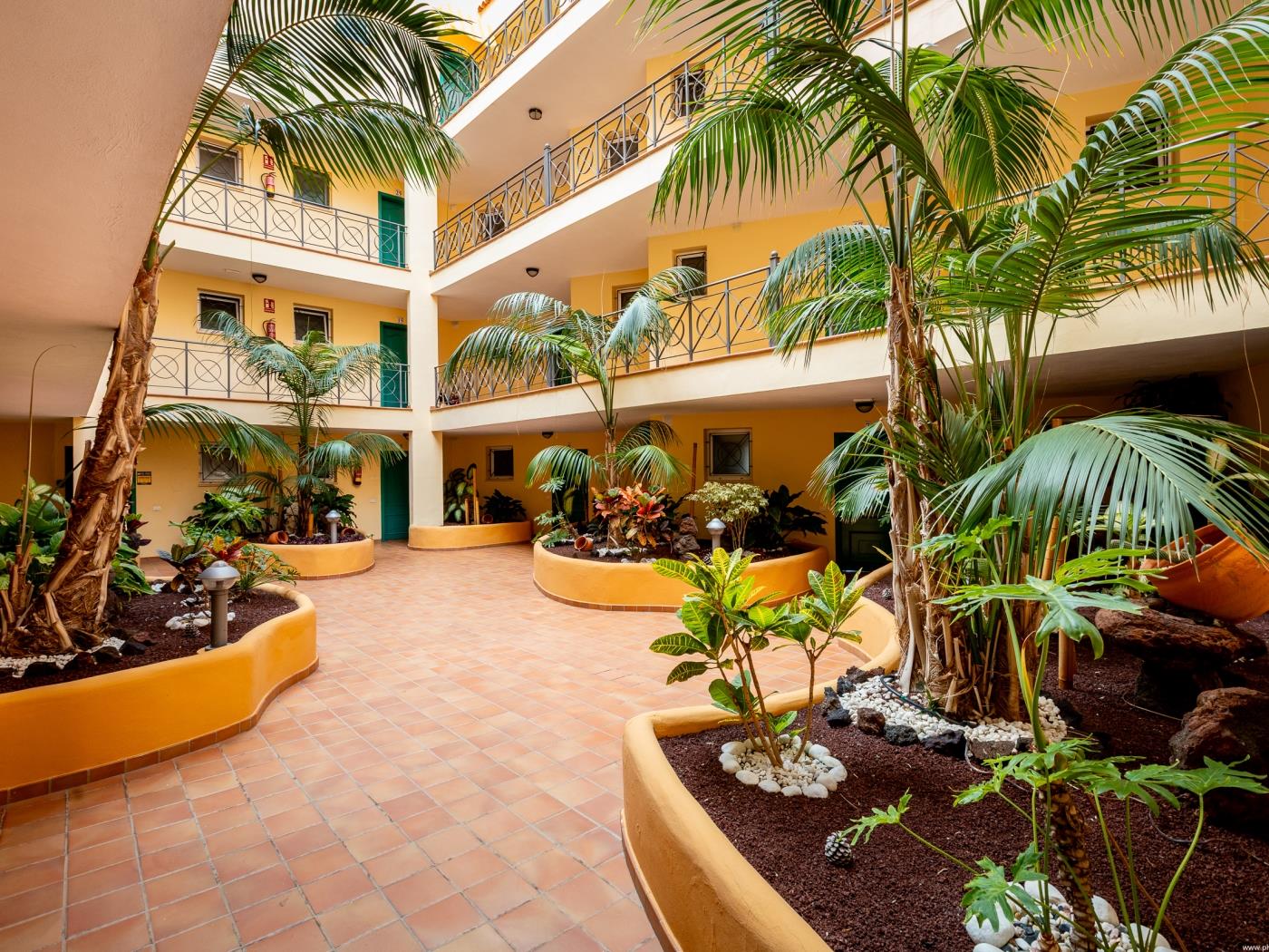 Apartamento Tropical inmejorable ubicación en Los Cristianos