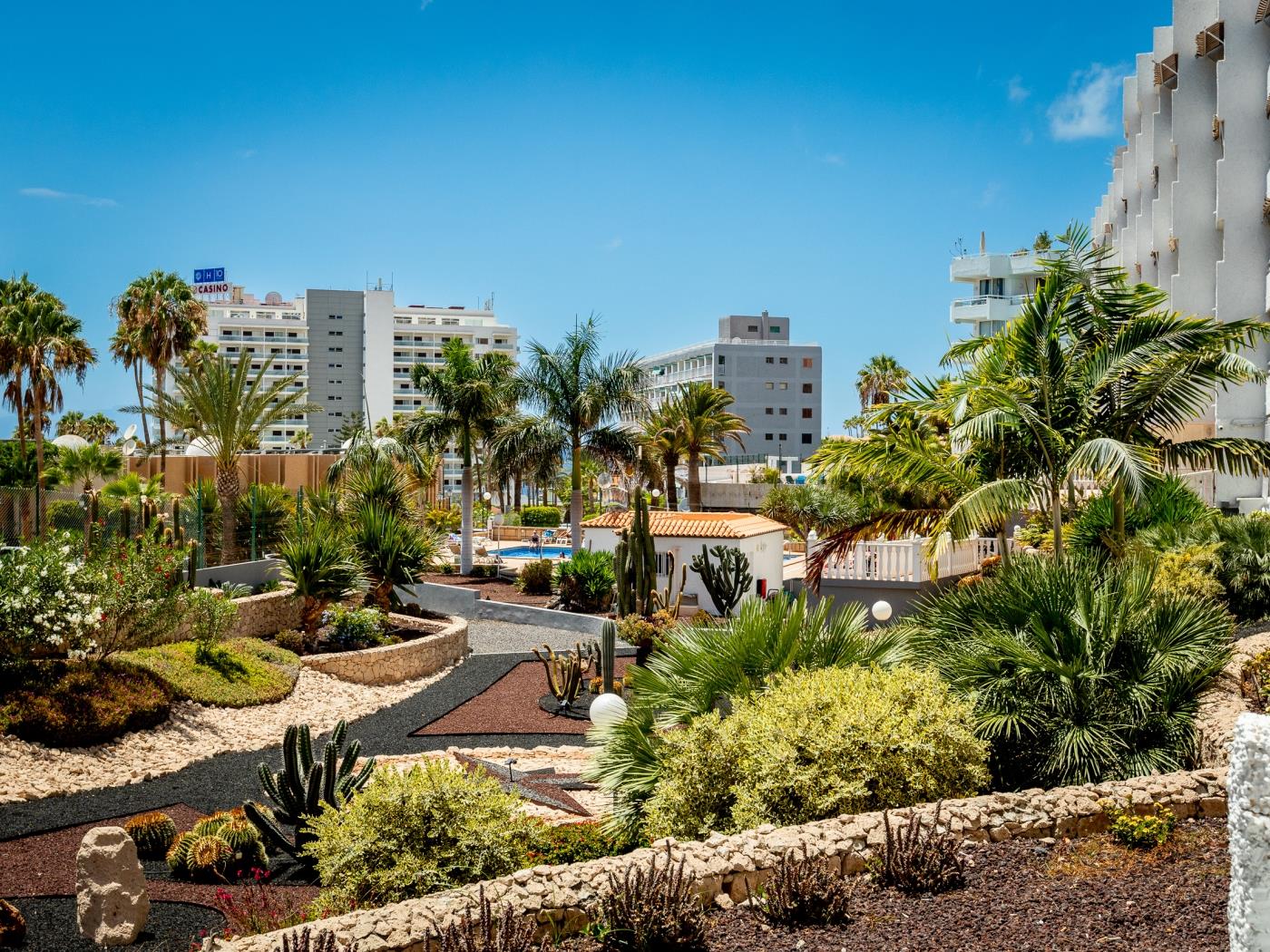 Bonito Estudio - Ubicacion Inmejorable, Playa de Las Americas en Playa de las Américas